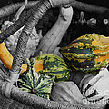 Gourds In Wicker Basket