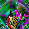 Butterfly In A Bubble