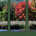 Autumn Marsh Through A Window