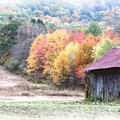 New England Tobacco Barn In Watercolor