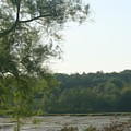 Secluded Marsh